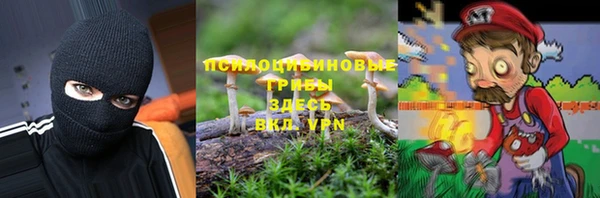 индика Арсеньев