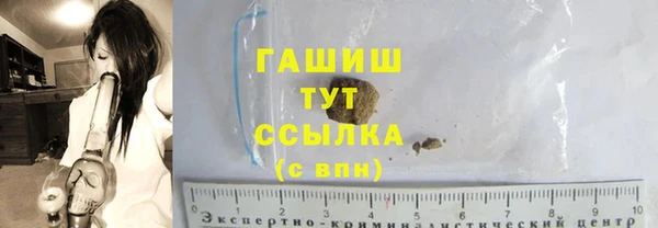 индика Арсеньев