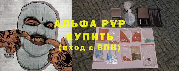 индика Арсеньев