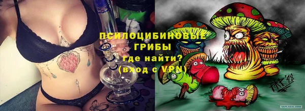 MESCALINE Аркадак