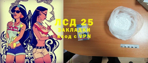 индика Арсеньев