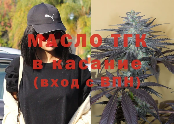 индика Арсеньев