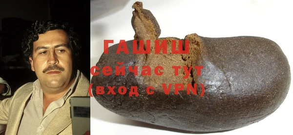 индика Арсеньев