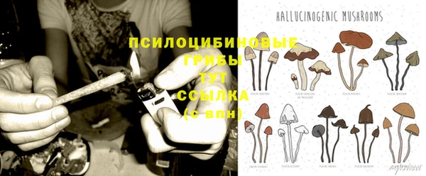индика Арсеньев