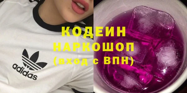 индика Арсеньев
